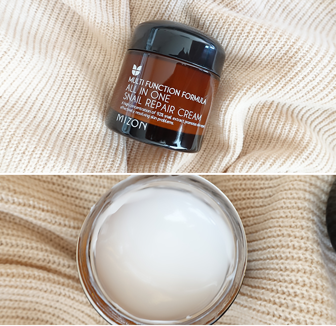 MIZON All In One Snail Repair Cream Review | Snail Cream